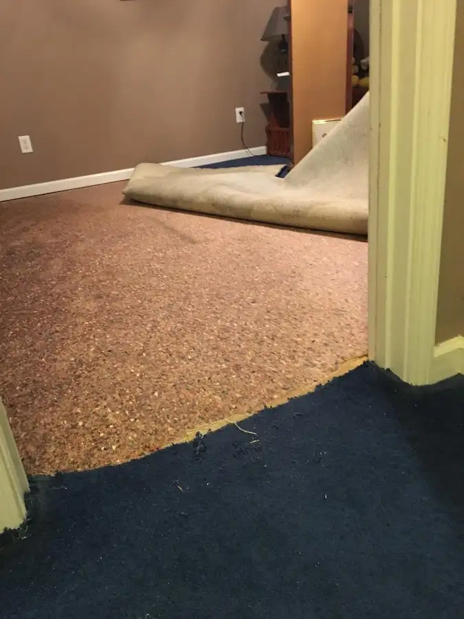 Carpet pad removal revealing water damage during Water Mitigation Services in Salina